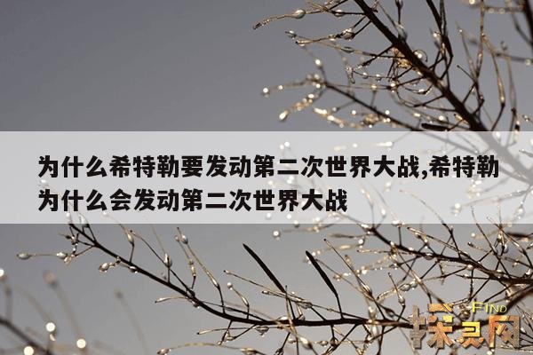 为什么希特勒要发动第二次世界大战,希特勒为什么会发动第二次世界大战