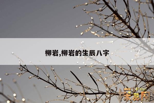 柳岩,柳岩的生辰八字