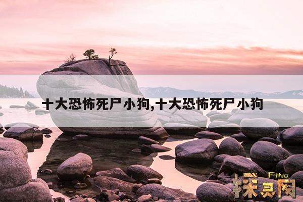 十大恐怖死尸小狗,十大恐怖死尸小狗