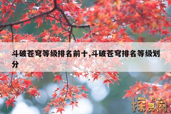 斗破苍穹等级排名前十,斗破苍穹排名等级划分