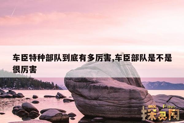 车臣特种部队到底有多厉害,车臣部队是不是很厉害