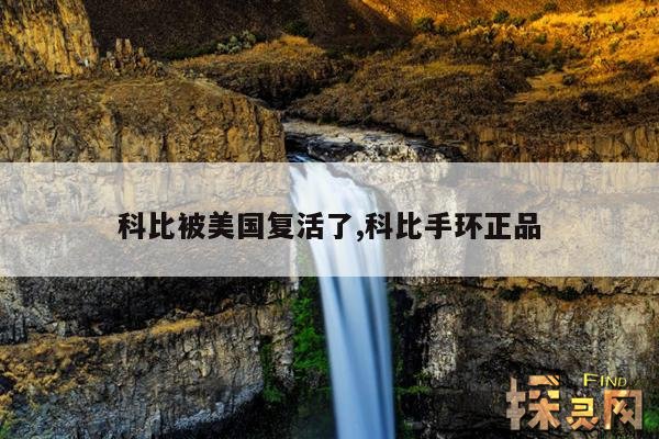 科比被美国复活了,科比手环正品