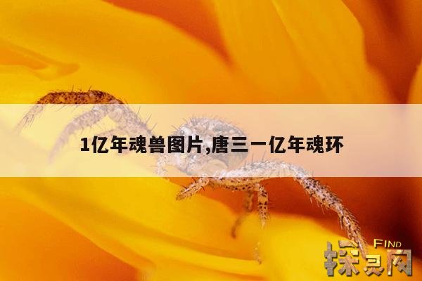 1亿年魂兽图片,唐三一亿年魂环