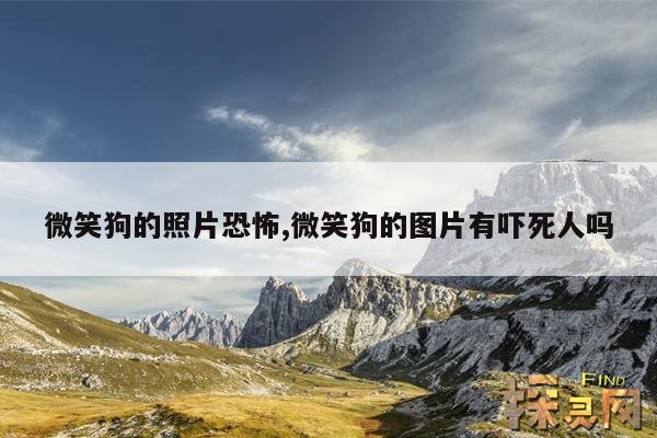 微笑狗的照片恐怖,微笑狗的图片有吓死人吗