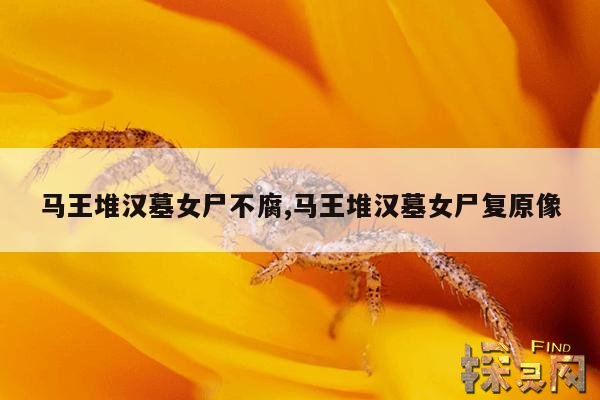 马王堆汉墓女尸不腐,马王堆汉墓女尸复原像