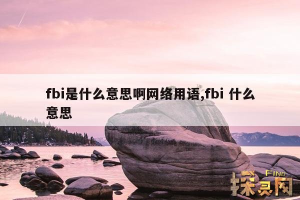 fbi是什么意思啊网络用语,fbi 什么意思