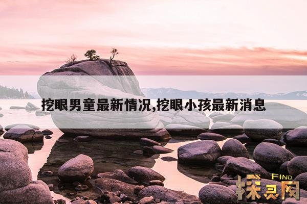 挖眼男童最新情况,挖眼男孩事件真相