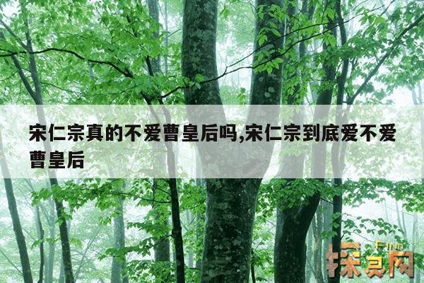 宋仁宗真的不爱曹皇后吗,宋仁宗到底爱不爱曹皇后