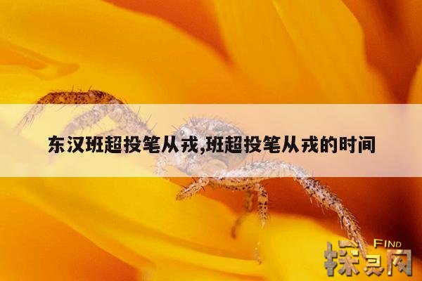 东汉班超投笔从戎,班超投笔从戎的时间