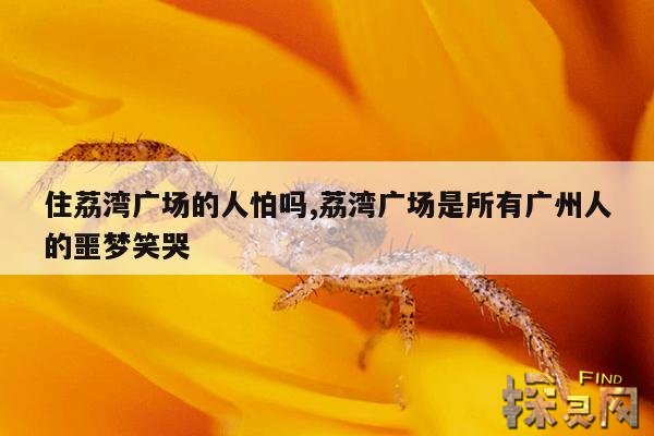 住荔湾广场的人怕吗,荔湾广场是所有广州人的噩梦笑哭