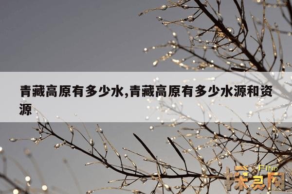 青藏高原有多少水,青藏高原有多少水源和资源