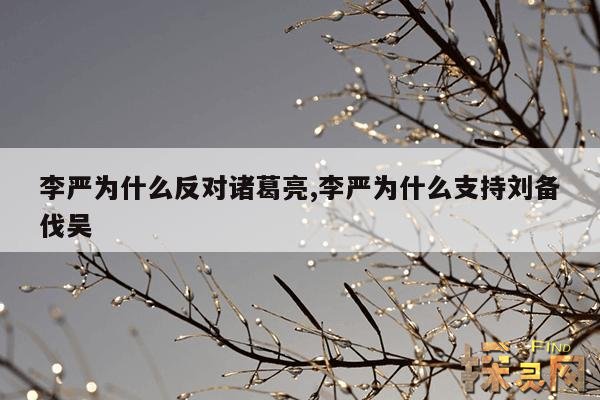 李严为什么反对诸葛亮,李严为什么支持刘备伐吴