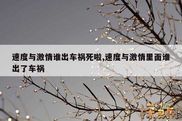 速度与激情谁出车祸死啦,速度与激情里面谁出了车祸