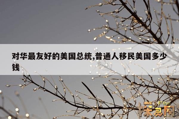 对华最友好的美国总统,普通人移民美国多少钱