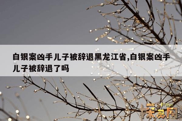 白银案凶手儿子被辞退黑龙江省,白银案凶手儿子被辞退了吗