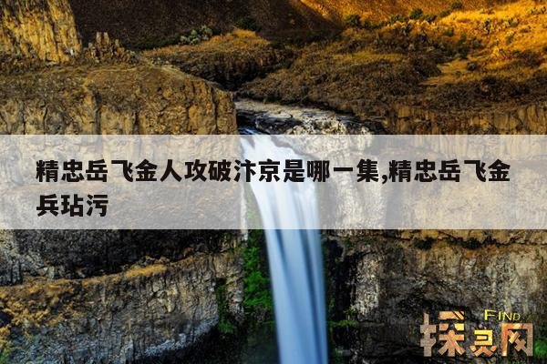 精忠岳飞金人攻破汴京是哪一集,精忠岳飞金兵玷污