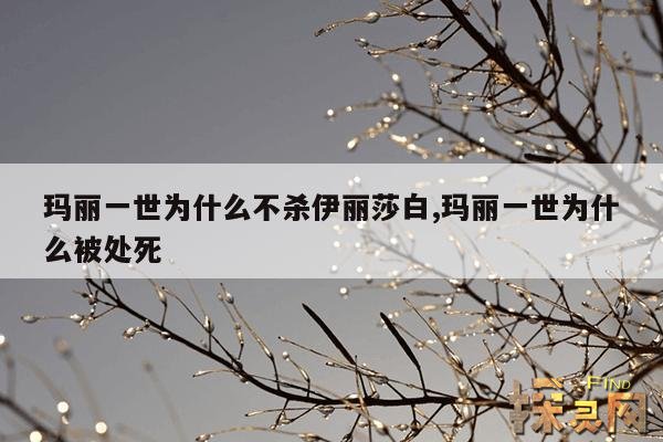 玛丽一世为什么不杀伊丽莎白,玛丽一世为什么被处死