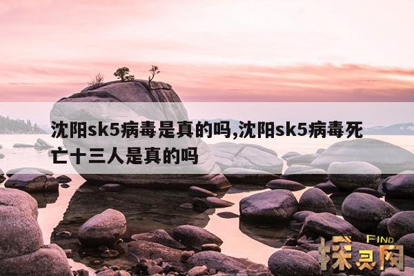 沈阳sk5病毒是真的吗,沈阳sk5病毒死亡十三人是真的吗
