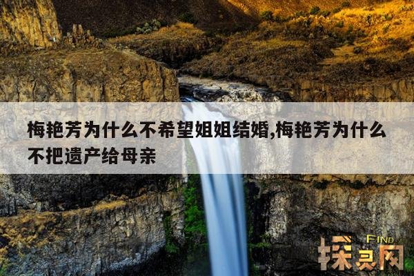 梅艳芳为什么不希望姐姐结婚,梅艳芳为什么不把遗产给母亲