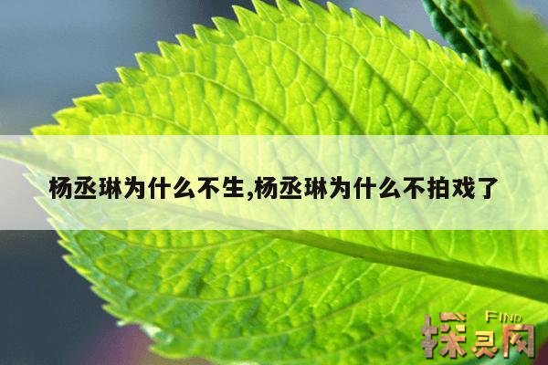 杨丞琳为什么不生,杨丞琳为什么不拍戏了