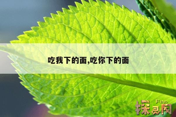 吃我下的面,吃你下的面