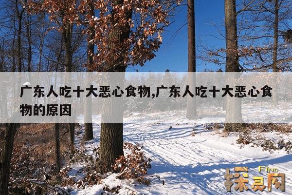 广东人吃十大恶心食物,广东人吃十大恶心食物的原因