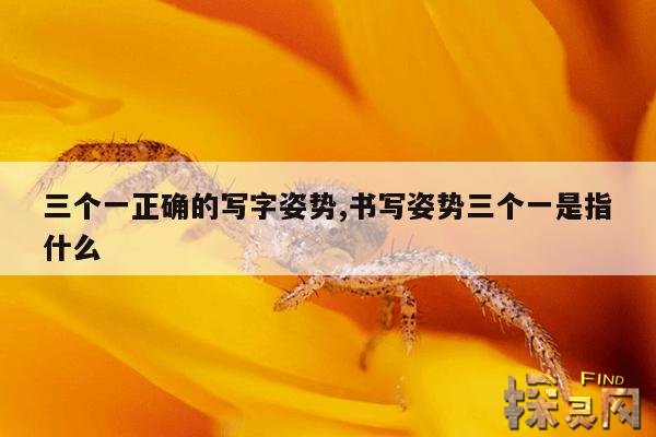 三个一正确的写字姿势,书写姿势三个一是指什么