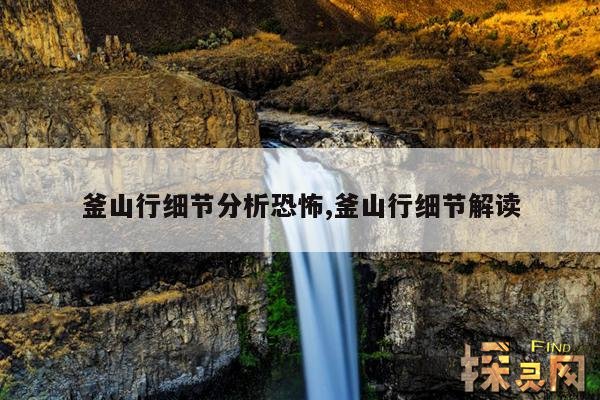 釜山行细节分析恐怖,釜山行细节解读