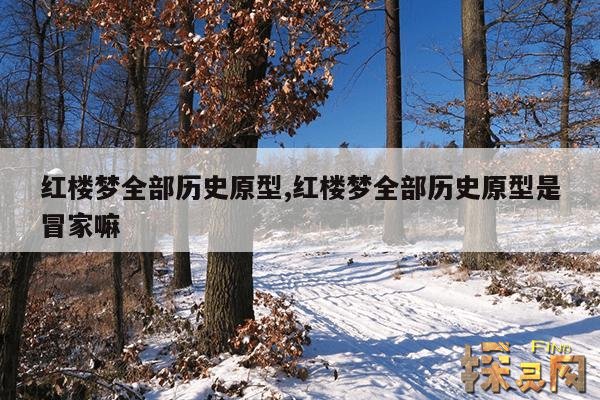 红楼梦全部历史原型,红楼梦全部历史原型是冒家嘛