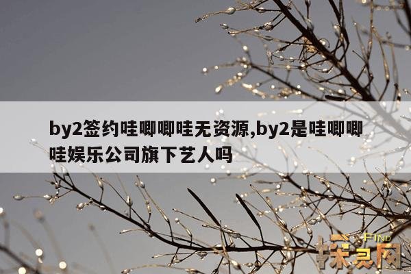 by2签约哇唧唧哇无资源,by2是哇唧唧哇娱乐公司旗下艺人吗