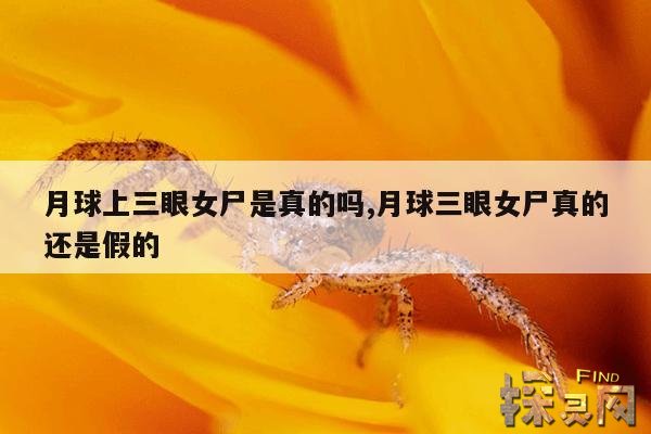月球上三眼女尸是真的吗,月球三眼女尸真的还是假的