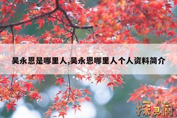 吴永恩是哪里人,吴永恩哪里人个人资料简介