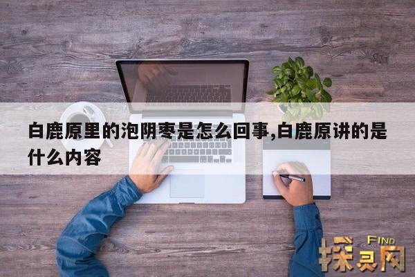 白鹿原里的泡阴枣是怎么回事,白鹿原讲的是什么内容