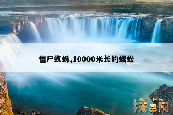 僵尸蜘蛛,10000米长的蜈蚣