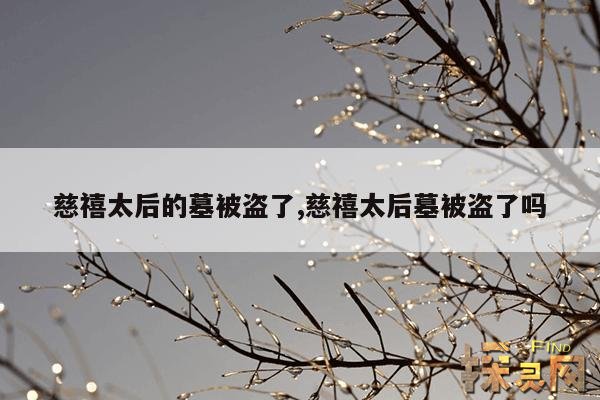 慈禧太后的墓被盗了,慈禧太后墓被盗了吗
