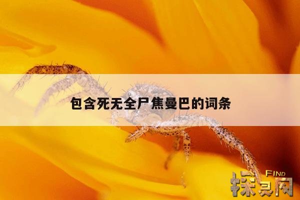 包含死无全尸焦曼巴的词条