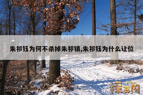 朱祁钰为何不杀掉朱祁镇,朱祁钰为什么让位