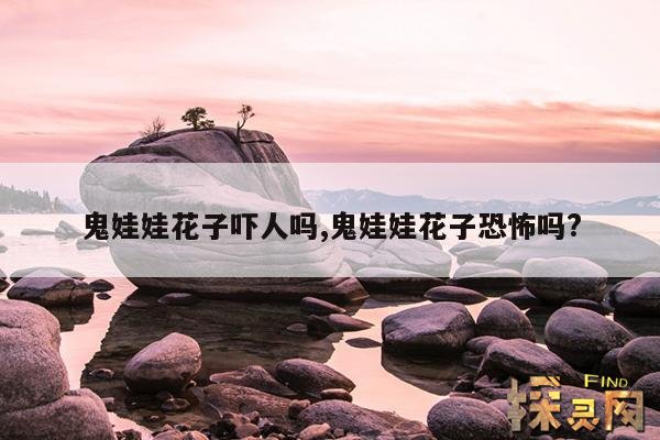 鬼娃娃花子吓人吗？,鬼娃娃花子吓死多少人