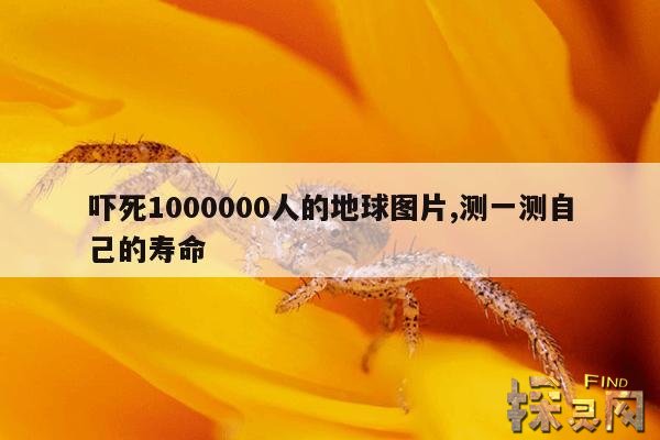 吓死1000000人的地球图片,测一测自己的寿命