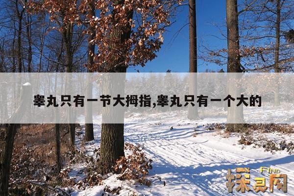 睾丸只有一节大拇指,睾丸只有一个大的