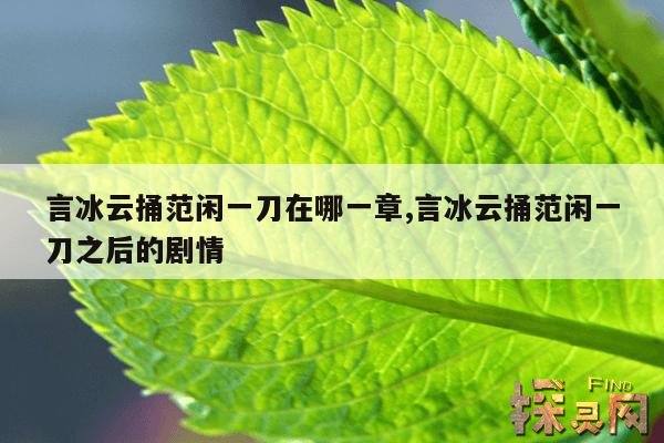 言冰云捅范闲一刀在哪一章,言冰云捅范闲一刀之后的剧情