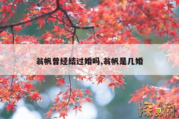 翁帆曾经结过婚吗?,2019翁帆产下一子是真的吗?