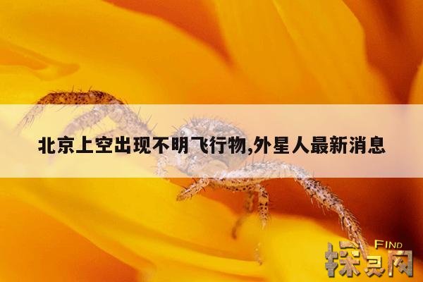 北京上空出现不明飞行物,外星人最新消息