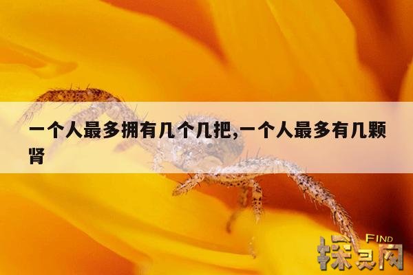 一个人最多拥有几个几把,一个人最多有几颗肾