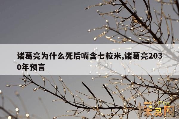 诸葛亮为什么死后嘴含七粒米,诸葛亮2030年预言