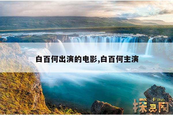 白百何出演的电影,白百何主演