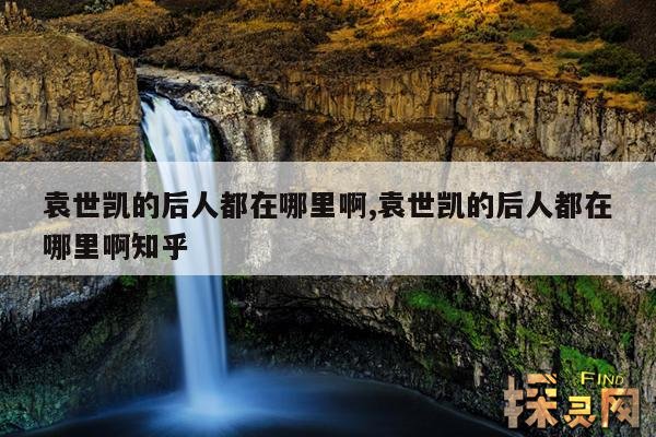 袁世凯的后人都在哪里啊,袁世凯的后人都在哪里啊知乎