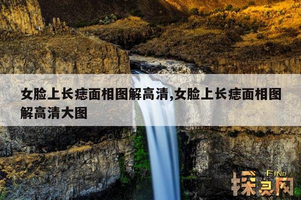 女脸上长痣面相图解高清,女脸上长痣面相图解高清大图