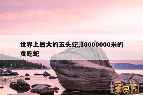 世界上最大的五头蛇,10000000米的贪吃蛇