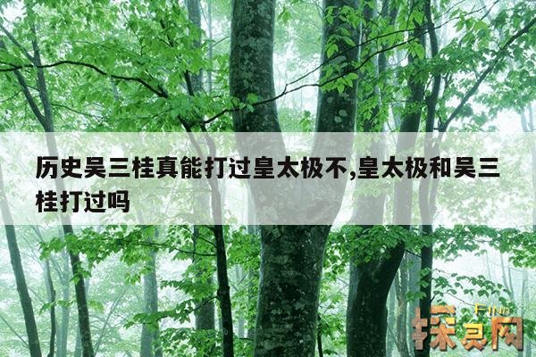 历史吴三桂真能打过皇太极不,吴三桂打仗厉害吗?